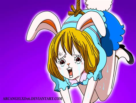 one piece carrot sex|One Piece Carrot Hentai Animation Compilation